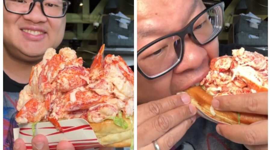 TikToker mostra sanduíche de lagosta que custa R$ 439 e gera debate: ‘pechincha’
