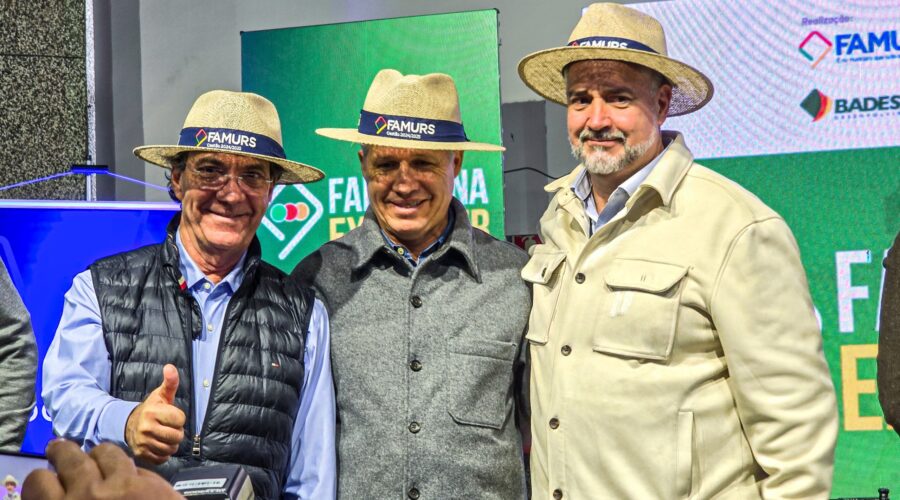 Sebrae e Ministério da Reconstrução anunciam R$ 1 bilhão em crédito aos empreendedores gaúchos