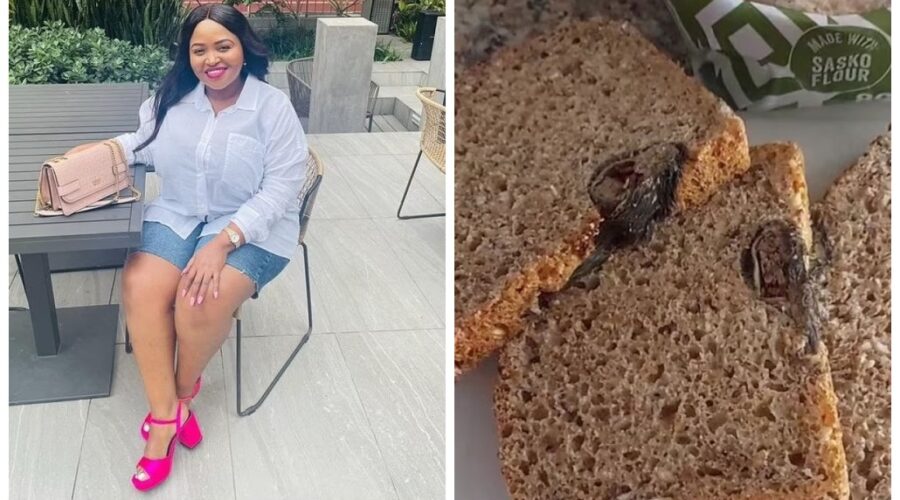 Cliente encontra rato morto em pão após comer metade do alimento; empresa diz ser ‘caso isolado’