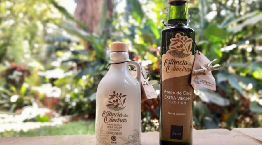 Azeite do RS é eleito o melhor do Hemisfério Sul em competição internacional