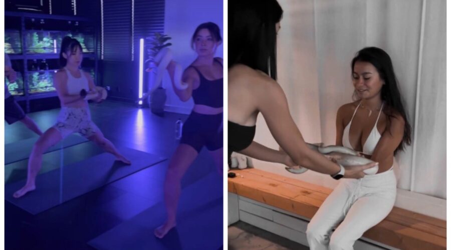 Snake Yoga: estúdio nos Estados Unidos inova ao oferecer aulas de ioga com a presença de cobras