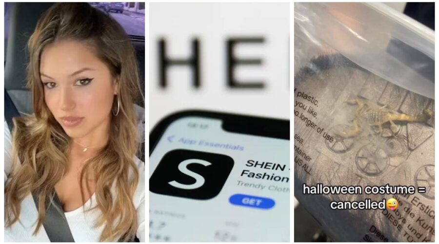 Jovem viraliza ao encontrar escorpião vivo em fantasia de Halloween comprada na Shein: ‘Pet grátis?’
