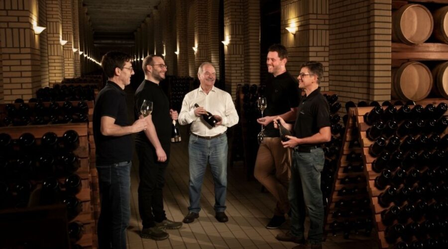 Vinícola brasileira fica entre as 100 melhores do mundo para visitar
