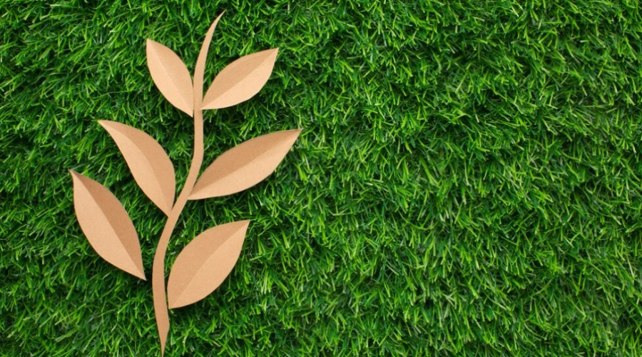Marca Brasileira, Protec Bag® é pioneira e desenvolve filme 100% biodegradável para bagagem