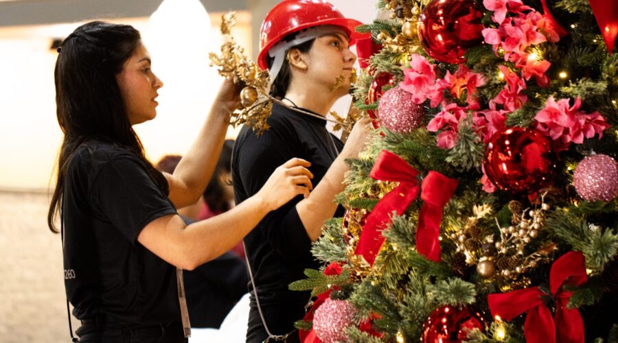 Árvore de Natal profissional: empreendedoras faturam até R$ 200 mil por mês com serviço de montagem