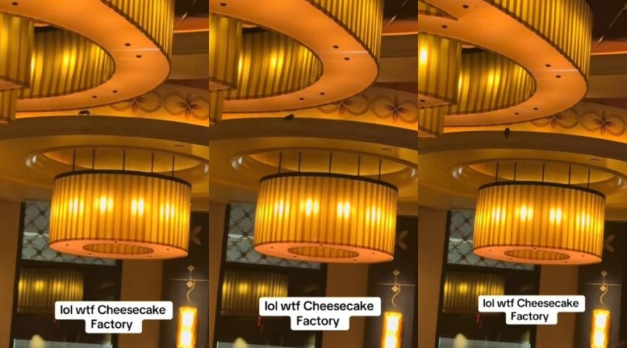 Cliente flagra rato em luminária no teto de restaurante e vídeo viraliza: ‘É Ratatouille’