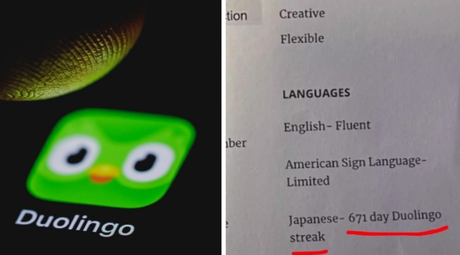 Recrutador se surpreende com candidato que colocou sequência no Duolingo no currículo