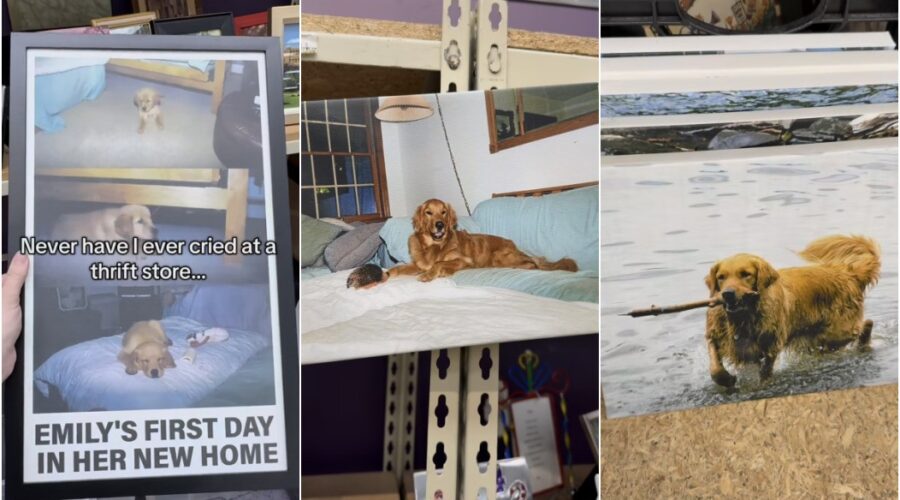 Fotógrafa posta vídeo de descoberta comovente em brechó e viraliza: ‘Perdi o controle’