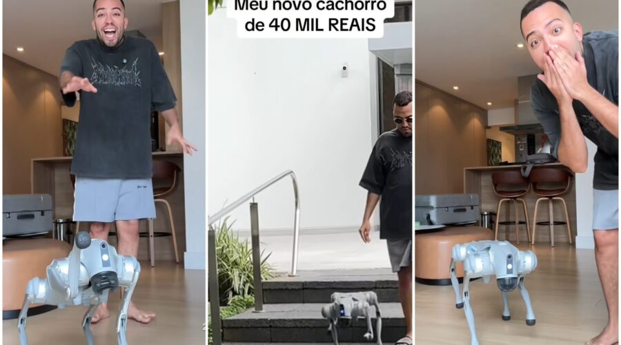 Influenciador viraliza com cachorro robô avaliado em R$ 40 mil; conheça a empresa responsável pelo ‘pet’