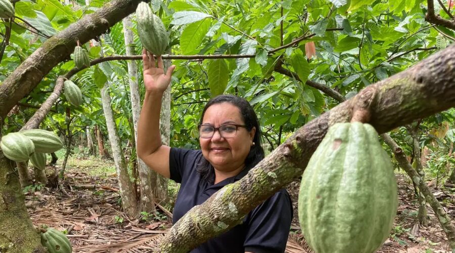 Potencial para bioeconomia atrai investimentos na Amazônia