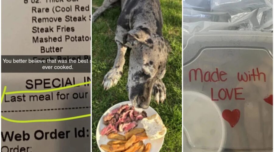 Restaurante recebe pedido para preparar última refeição de cachorro e reação surpreende cliente