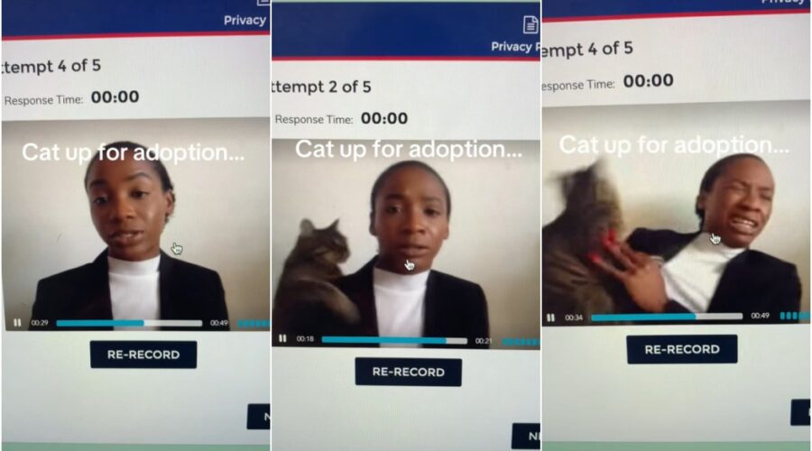 Jovem é surpreendida por gato enquanto grava vídeo para entrevista de emprego e reação viraliza