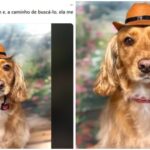 cao-vai-ao-pet-shop-e-vira-estrela-de-ensaio-fotografico
